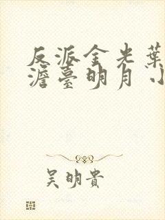 反派金光叶玄,澹台明月 小说