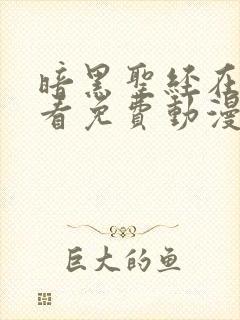 暗黑圣经在线观看免费动漫