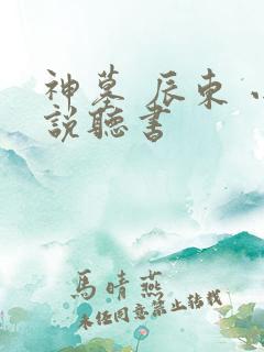神墓 辰东 小说听书
