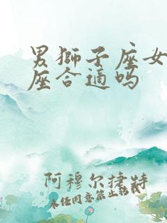 男狮子座女水瓶座合适吗