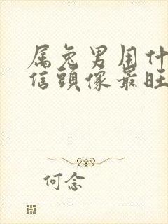 属兔男用什么微信头像最旺财