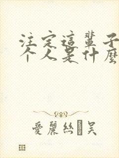 注定这辈子我一个人是什么歌