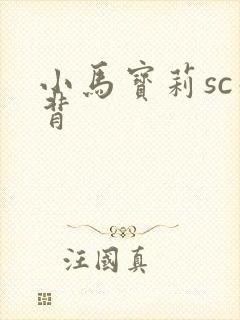 小马宝莉sc彩背