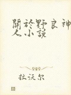 关于野良神的同人小说