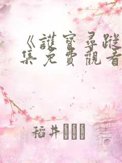 《护宝寻踪》全集免费观看