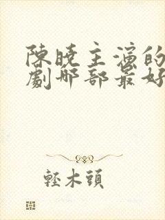 陈晓主演的电视剧哪部最好看