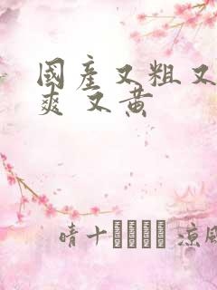 国产又粗又猛又爽 又黄