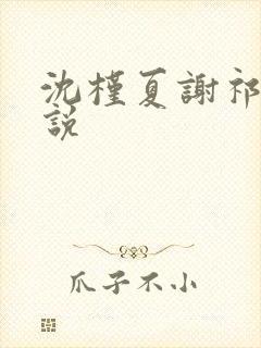 沈槿夏谢祁言小说