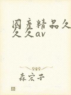 国产精品久久久久久av