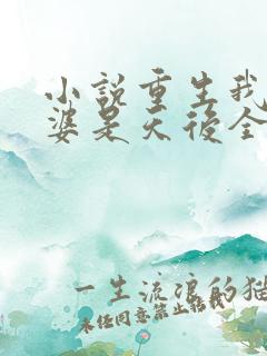 小说重生我的老婆是天后全文阅读