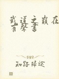 武道之巅在线听有声书