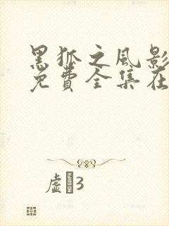 黑狐之风影高清免费全集在线观看