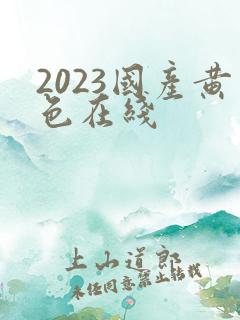 2023国产黄色在线
