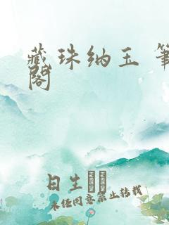 藏珠纳玉 笔趣阁