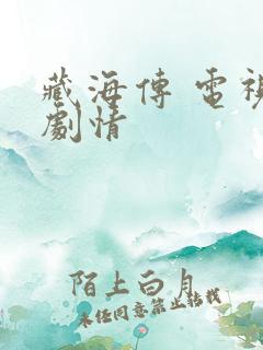 藏海传 电视剧剧情