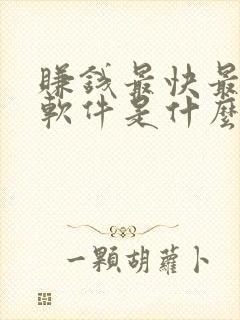 赚钱最快最多的软件是什么