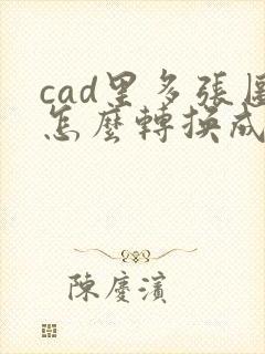 cad里多张图怎么转换成pdf格式