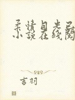 柔情目光已无他小说在线阅读