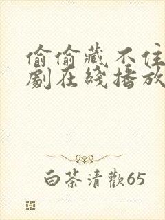 偷偷藏不住电视剧在线播放免费