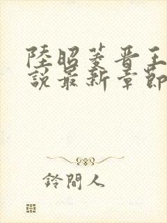 陆昭菱晋王的小说最新章节