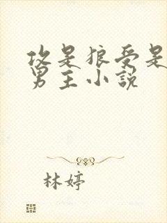 攻是狼受是人双男主小说