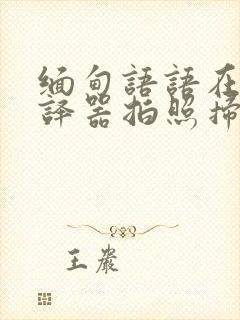 缅甸语语在线翻译器拍照扫一扫