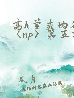 高h荤爽肉欲文〈np〉第五次