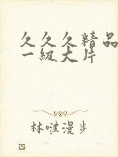 久久久精品黄色一级大片