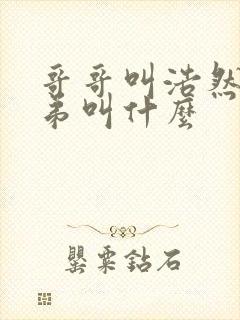 哥哥叫浩然,弟弟叫什么