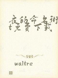 夜的命名术txt免费下载