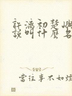 许漓初楚屿安小说叫什么名字