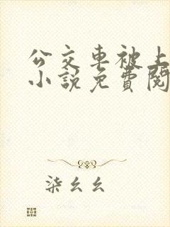 公交车被上高潮小说免费阅读