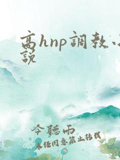 高hnp调教小说