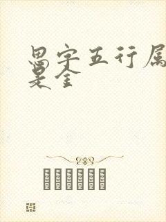 思字五行属土还是金