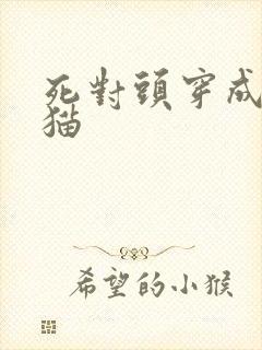 死对头穿成我的猫