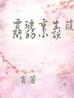 贾琏重生获得空间的小说