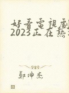 好看电视剧推荐2023正在热播的剧