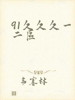 91久久久一区二区