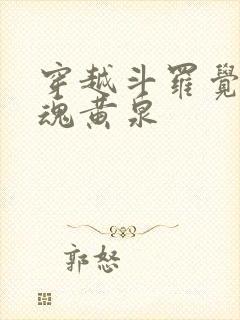 穿越斗罗觉醒武魂黄泉