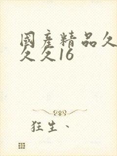 国产精品久久久久久16