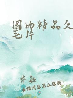 国内精品久久久毛片