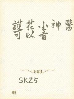 护花小神医那里可以看