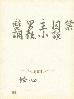 双男主囚禁改造调教小说