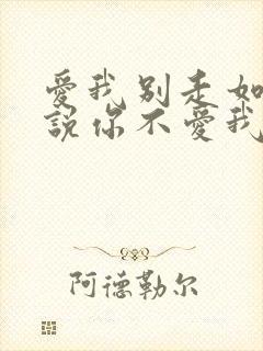 爱我别走如果你说你不爱我什么歌