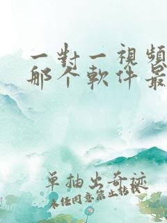 一对一视频聊天那个软件最好