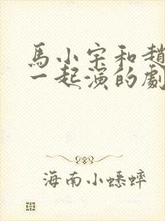 马小宇和赵夕汐一起演的剧