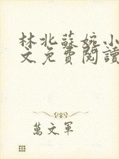 林北苏婉小说全文免费阅读大结局