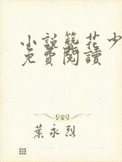 小说簪花少年郎免费阅读