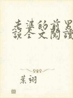 老婆的前男友小说全文阅读