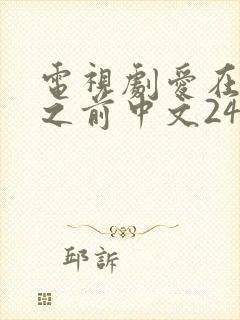 电视剧爱在日落之前中文24集